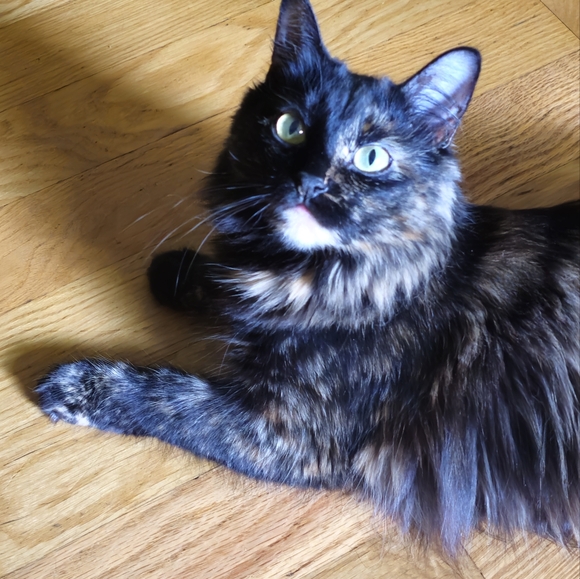 Meet your Posher, Carrie - Picture 7 of 11